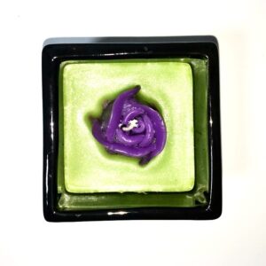 Tulipan pequeño morado