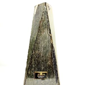 Vela triangulo abstracto NEGRO