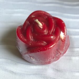 Flores Mediana Surtida Tulipan