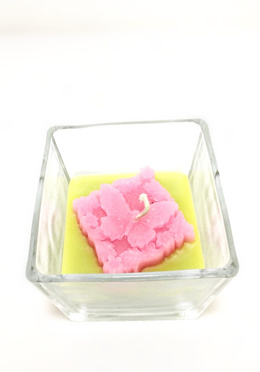 Suculenta Vidrio Cuadrado Rosa