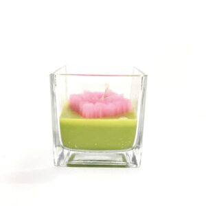 Suculenta Vidrio Cuadrado Rosa