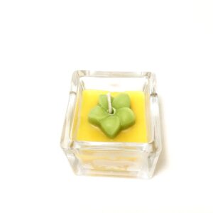 Suculenta Vidrio Redondo Arriba